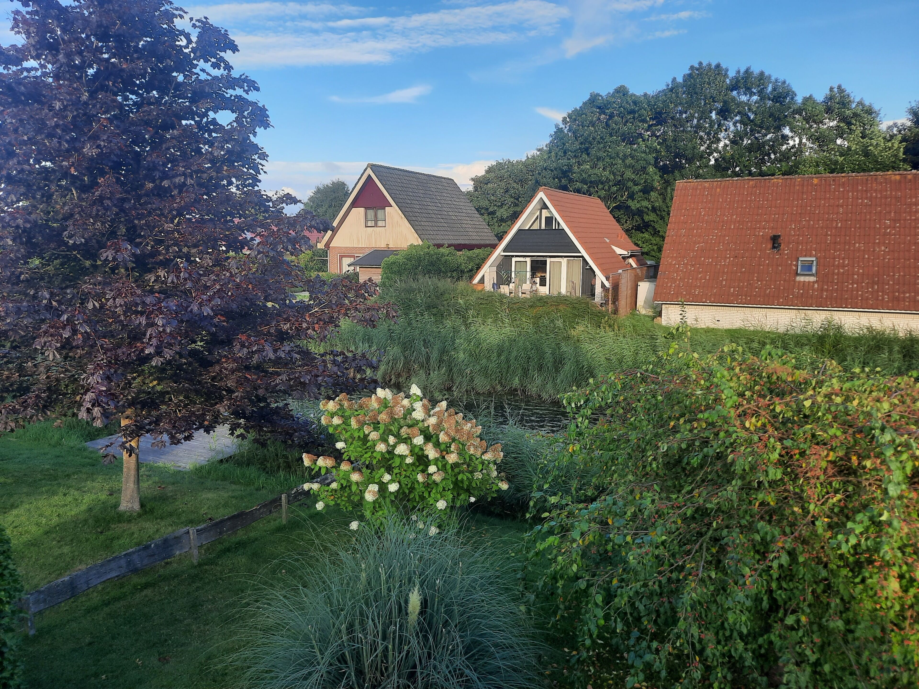 A residential area with houses, a tree, and a garden.