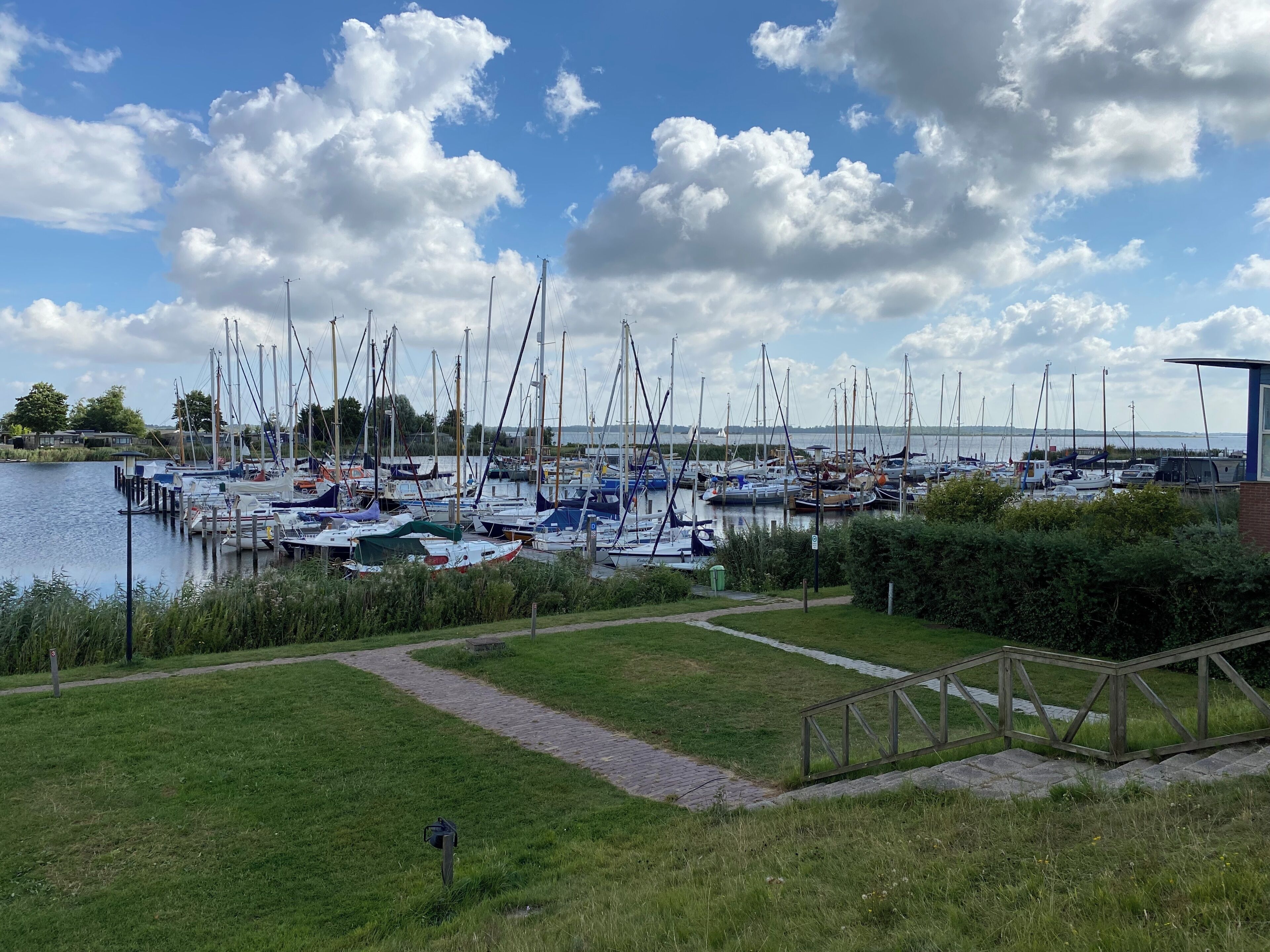 A marina with boats docked, a grassy area, and a clear sky.