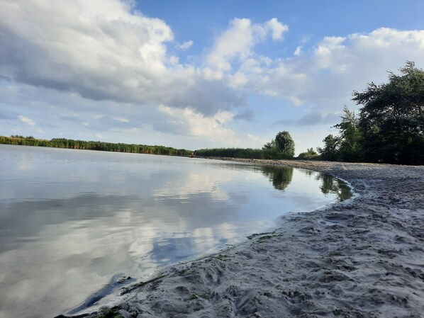 En stilla flod med en sandstrand, träd och en delvis molnig himmel.