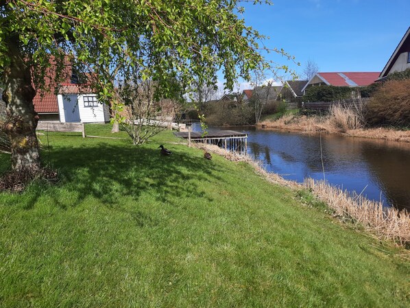 A pond with ducks, a wooden dock, and a white building with a red roof in the background.