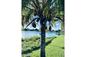 Unclassified image, 4 of 46, button - Cozy 2 bedroom Lakeview Villa|King & Queen Beds (West Palm Beach)