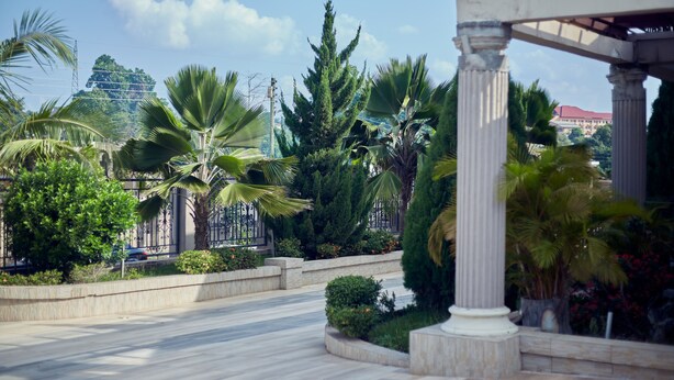 Un patio con palmeras, una pérgola y un edificio al fondo.