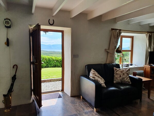 Smart TV, fireplace, DVD player, books