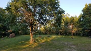 Área da propriedade