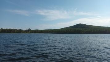 بالقرب من الشاطئ