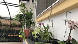 Un balcón con plantas en macetas, una silla blanca y una pequeña mesa con flores.