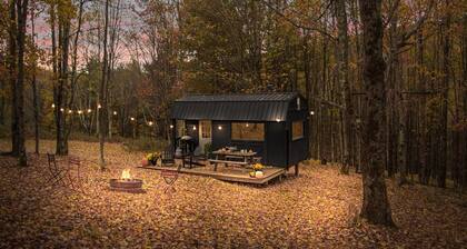 Off-Grid Tiny Cabin with Cozy Vintage Charm