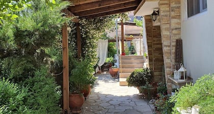 House in the Village