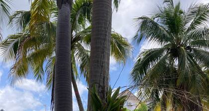 Lovely condo w/beach access - sleeps 5 guests