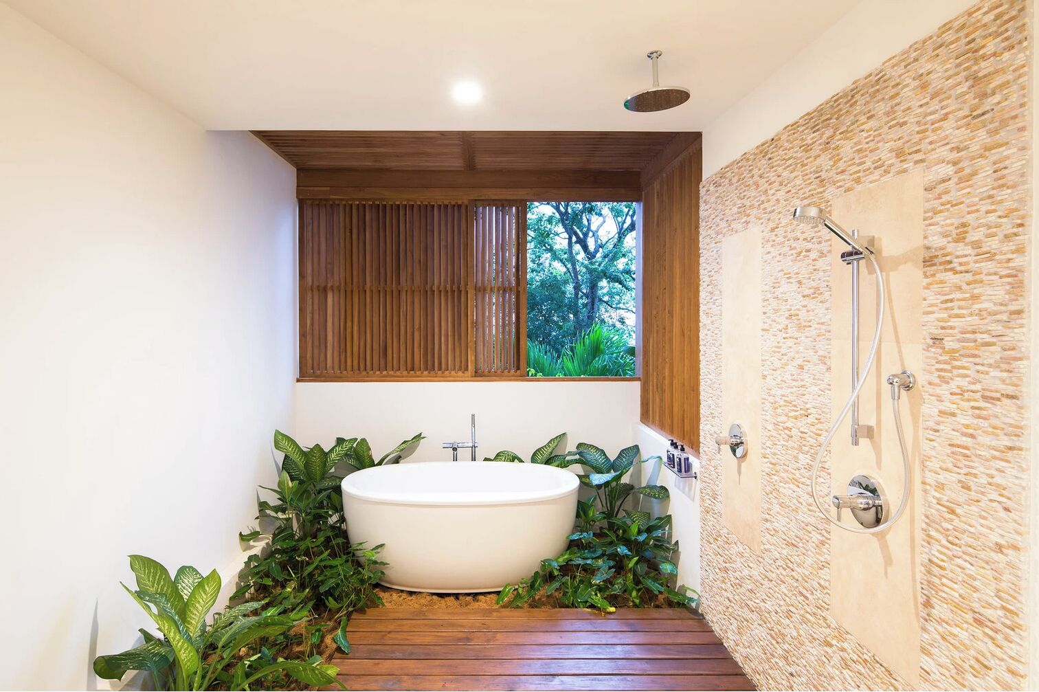 Combined shower/bathtub, towels, soap, toilet paper