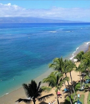 On the beach - Studio Has It All Ac Sandy Beach 180 degree Ocean Front View!! (Lahaina)