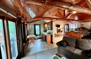 Smart TV, fireplace, DVD player, video library