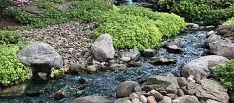 Romantic Bridal Suite Rentals - Bridal Suite 2