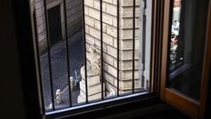 A view through a window with metal bars, featuring a street scene with a scooter and a statue. - Piazza Navona Mara’s apartment (Roma)
