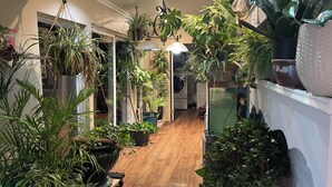 Un pasillo estrecho con suelo de madera, flanqueado por diversas macetas con plantas y una lámpara en el techo.