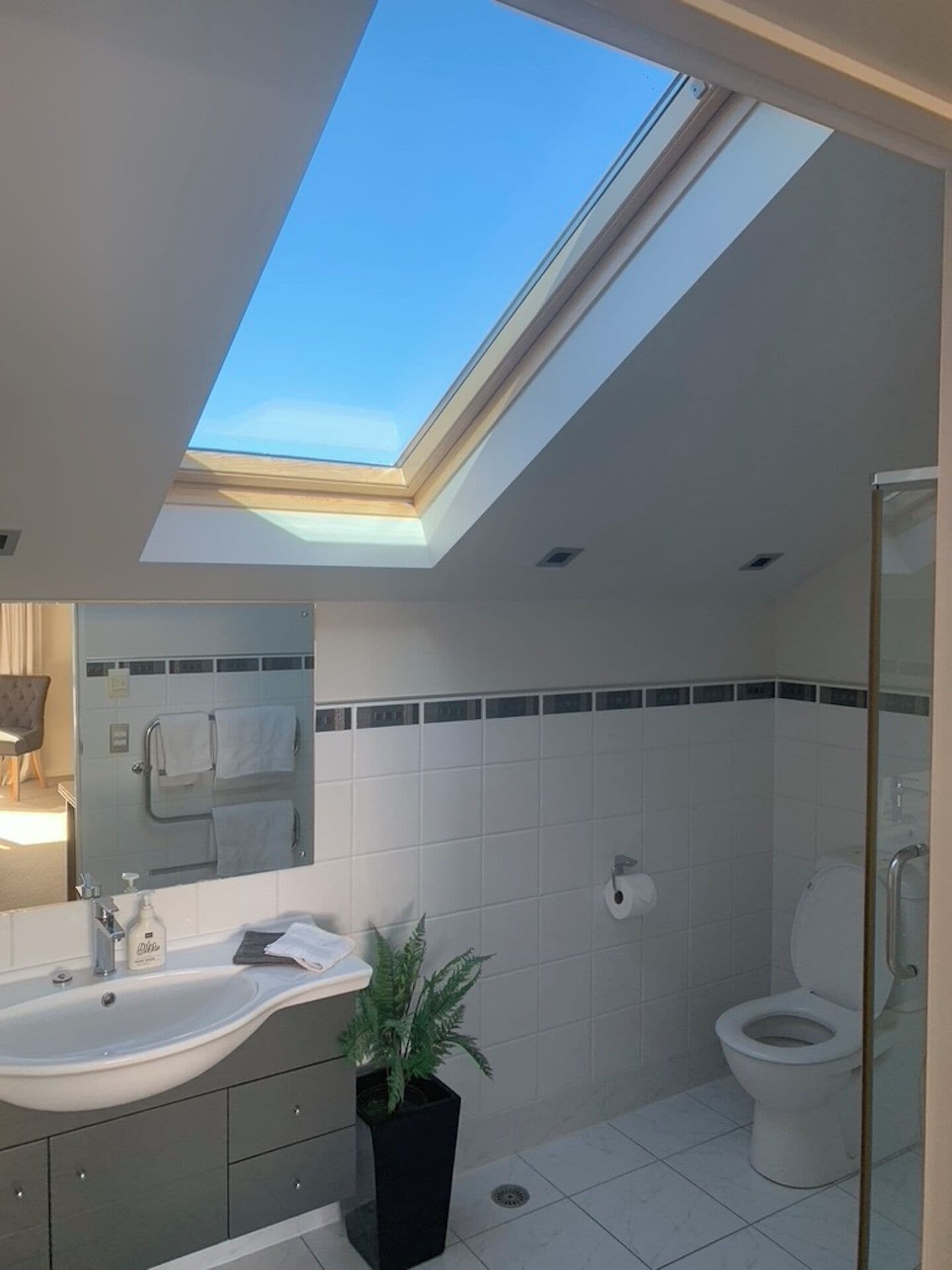 Un baño moderno con tragaluz, lavamanos, espejo, inodoro y planta en maceta.