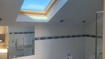 Un baño moderno con tragaluz, lavamanos, espejo, inodoro y planta en maceta.