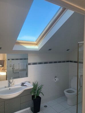 A modern bathroom with a skylight, a sink, a mirror, a toilet, and a potted plant. - AspiringLofts (Wanaka)