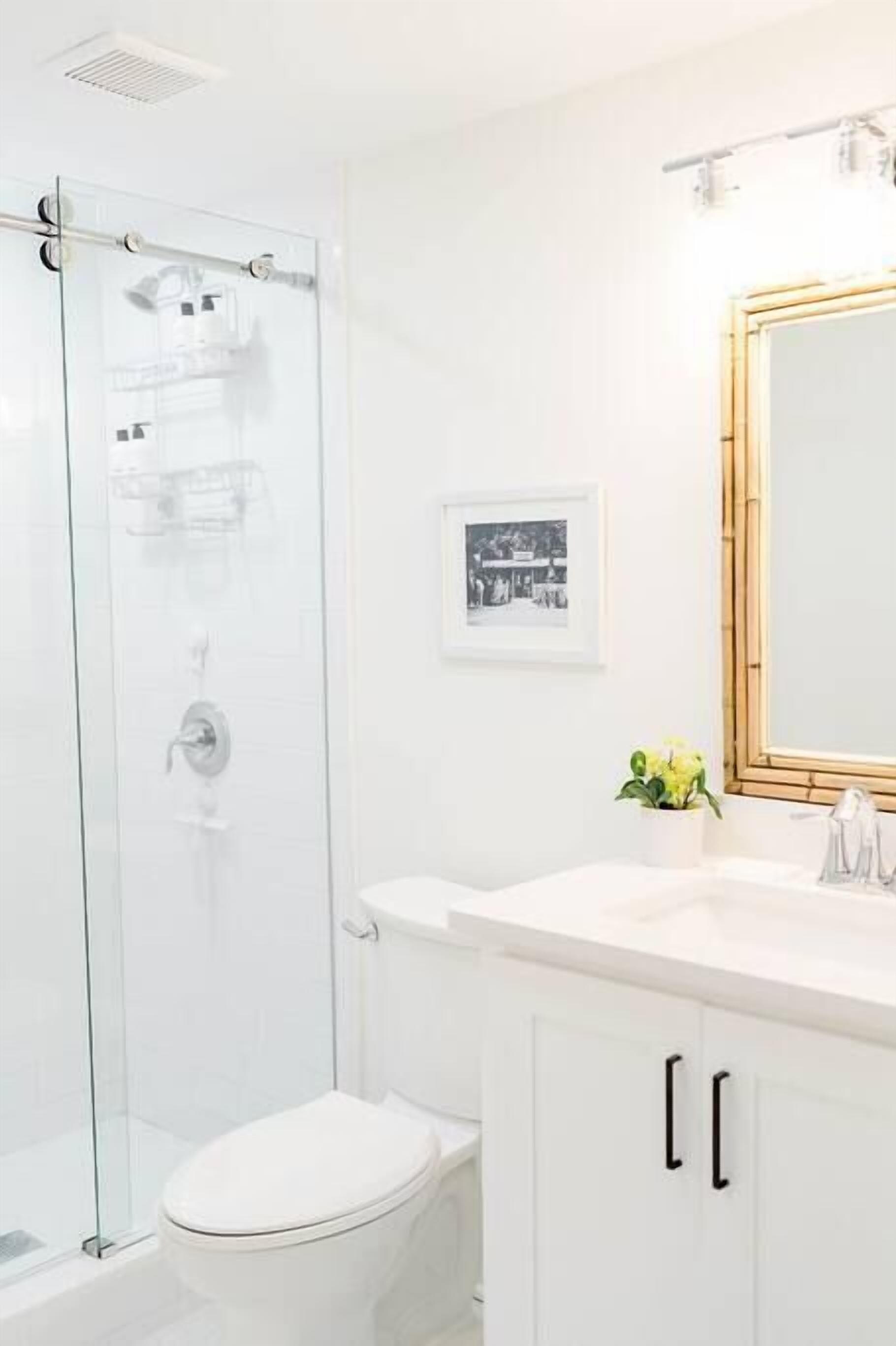 Un baño moderno con cabina de ducha de vidrio, inodoro blanco y tocador con espejo y una planta pequeña.