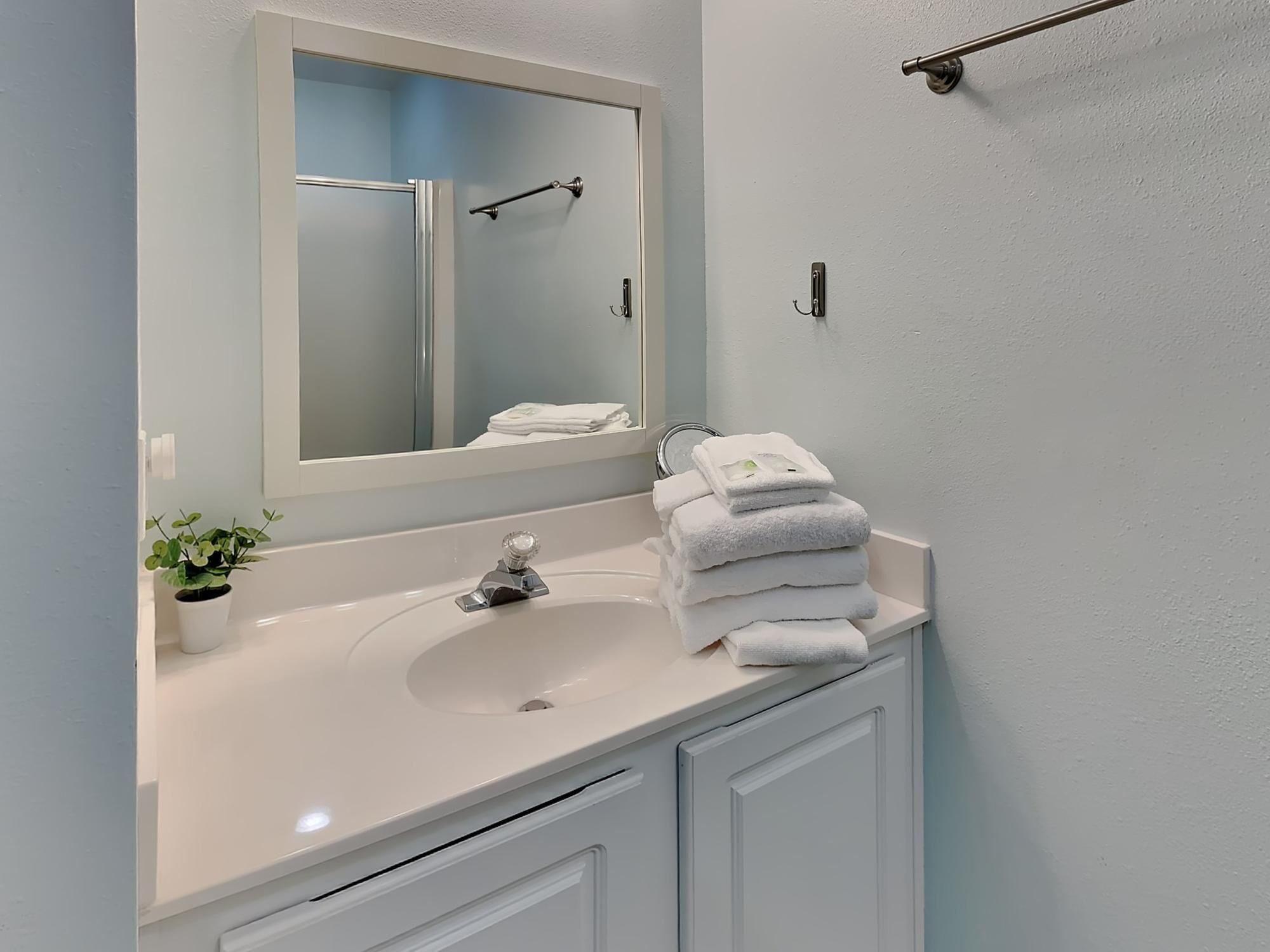 A bathroom with a white sink, a mirror, a towel rack, and a potted plant.