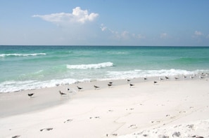 Perto da praia 