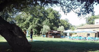 Zen Guest House - Near River Beaches, in Leiria, River Beaches, Leiria