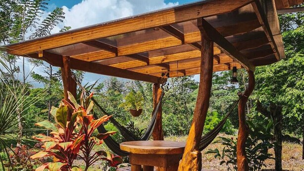 Un espacio de descanso al aire libre con mesas y bancos de madera, rodeado de exuberante vegetación y un cielo azul despejado.