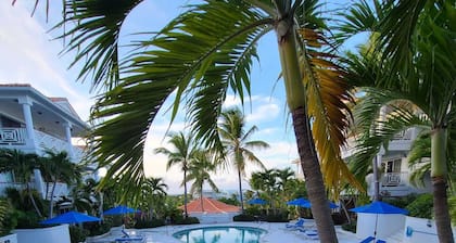 Queen Angel Condo with Pool and Ocean View