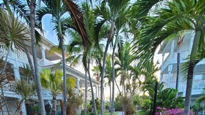 A wooden deck with blue lounge chairs, surrounded by palm trees and a building with balconies. - Queen Angel Condo with Pool and Ocean View (Providenciales)