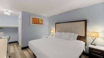 Standaard kamer, 1 kingsize bed, niet-roken | Een strijkplank/strijkijzer, gratis wifi