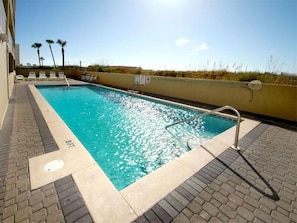 Relax by the pool surrounded by palm trees and lounge chairs.