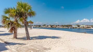 Walk along the boardwalk to the sandy shore, where a palm tree stands tall.