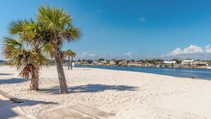Une plage avec une promenade en bois, des palmiers et une rangée de maisons le long du littoral.