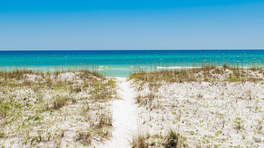 I'd Rather Be Gulfing