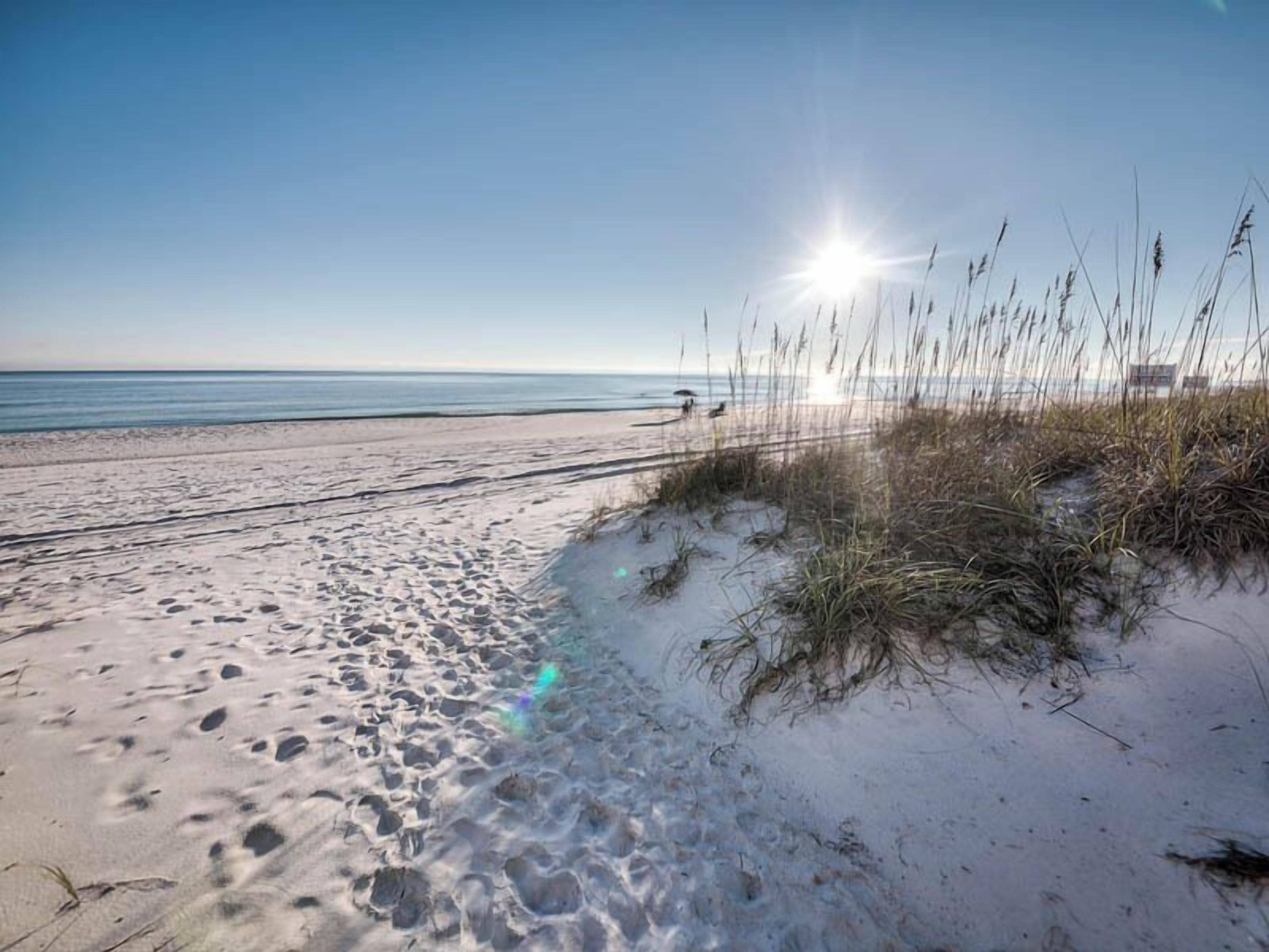 Studio (4 Bedrooms) | Équipement de l’hébergement