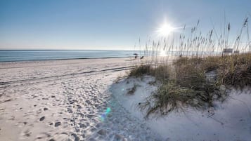 Studio (4 Bedrooms) | Property amenity