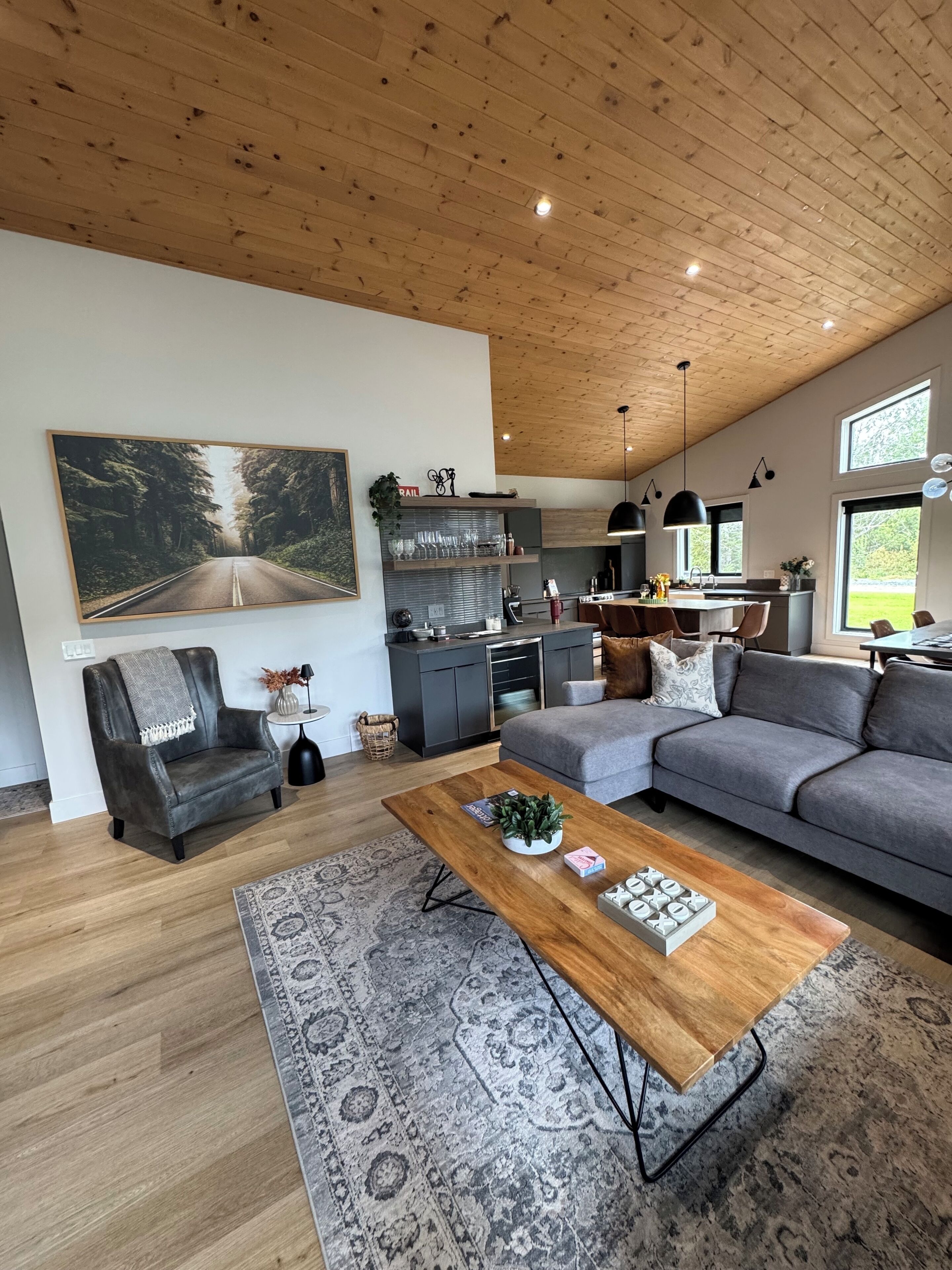 智能电视、壁炉、书