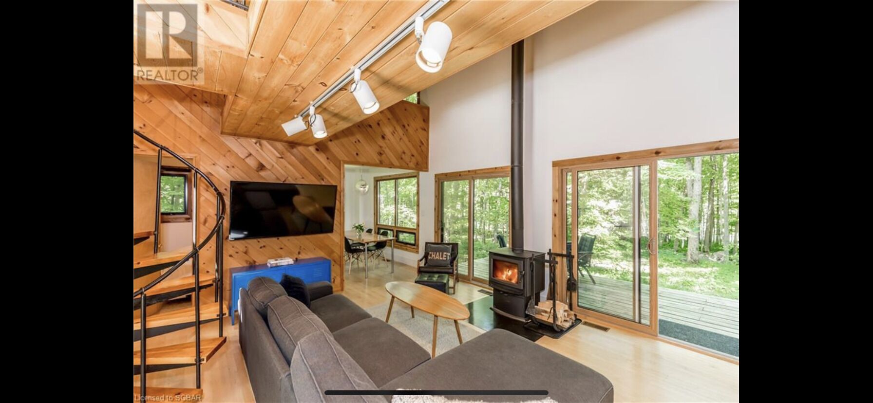 Smart TV, caminetto, lettore DVD