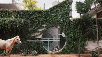 Fachada de la propiedad