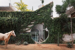 Front of property - Casa TO - Adults Only (Puerto Escondido)