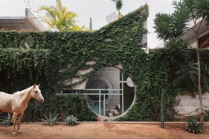 Un caballo frente a un edificio con un ventanal circular y una pared cubierta de vegetación.