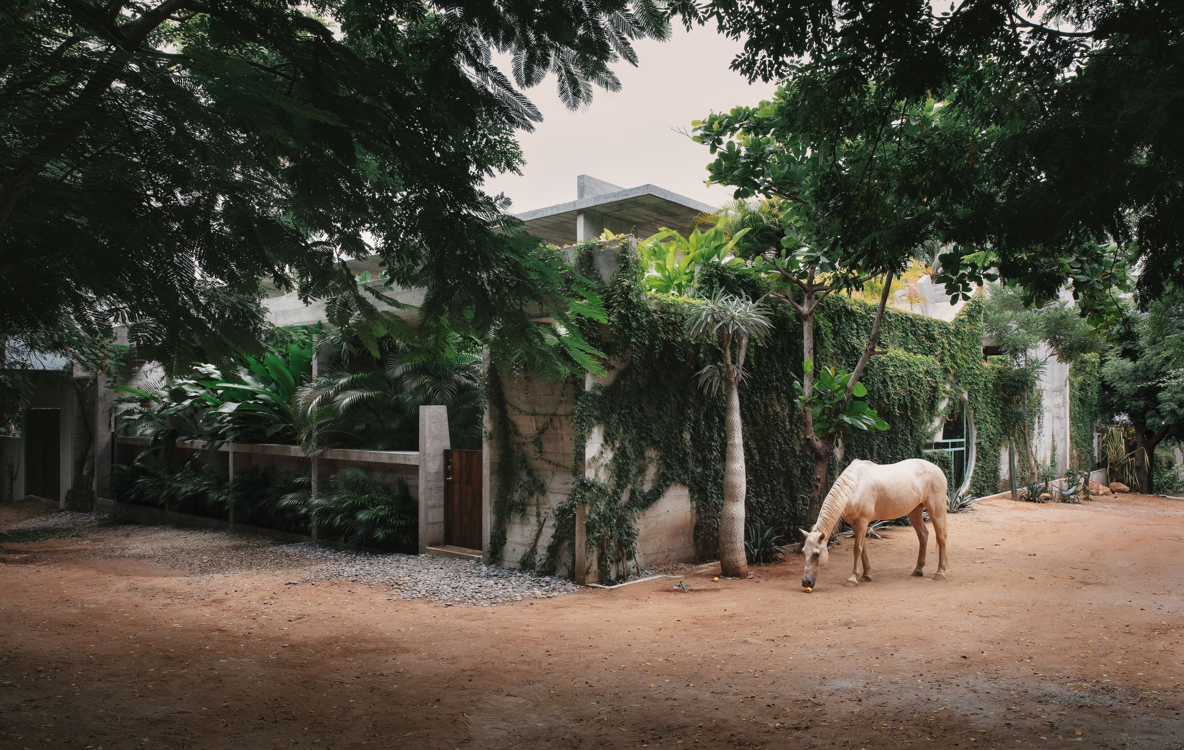 Photo - Casa TO - Adults Only