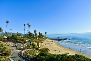 A coastal park with a paved walkway, palm trees, and a beach with people.