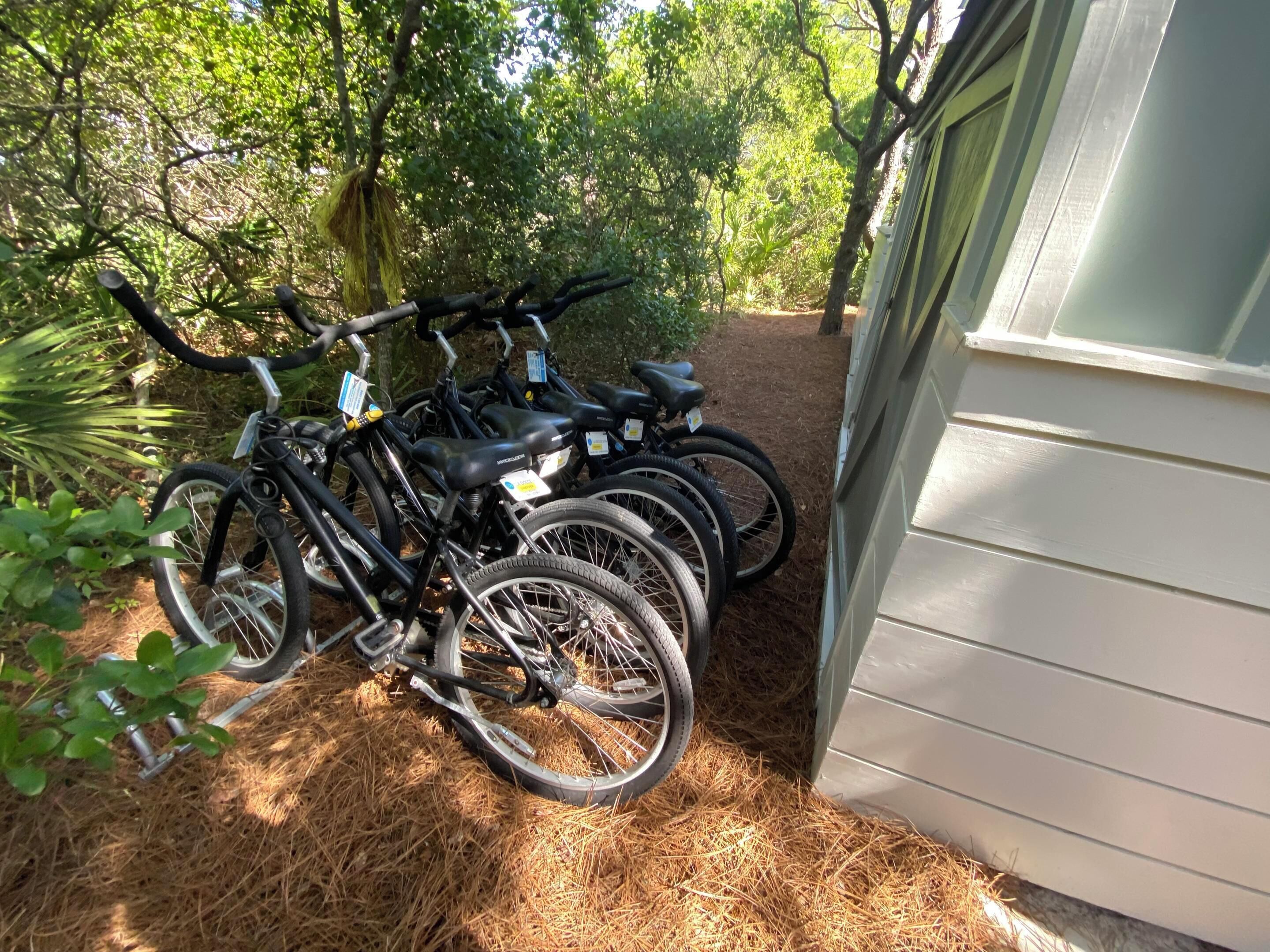 Des vélos sont garés devant un bâtiment doté d’une terrasse en bois et dont le sol est recouvert de paillis de pins.
