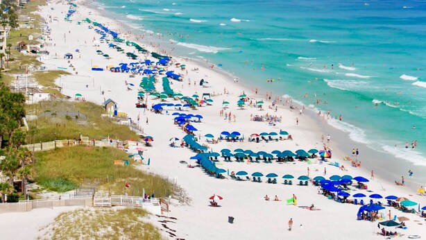 Ein Strand mit mehreren Reihen von Sonnenschirmen und Badegästen.