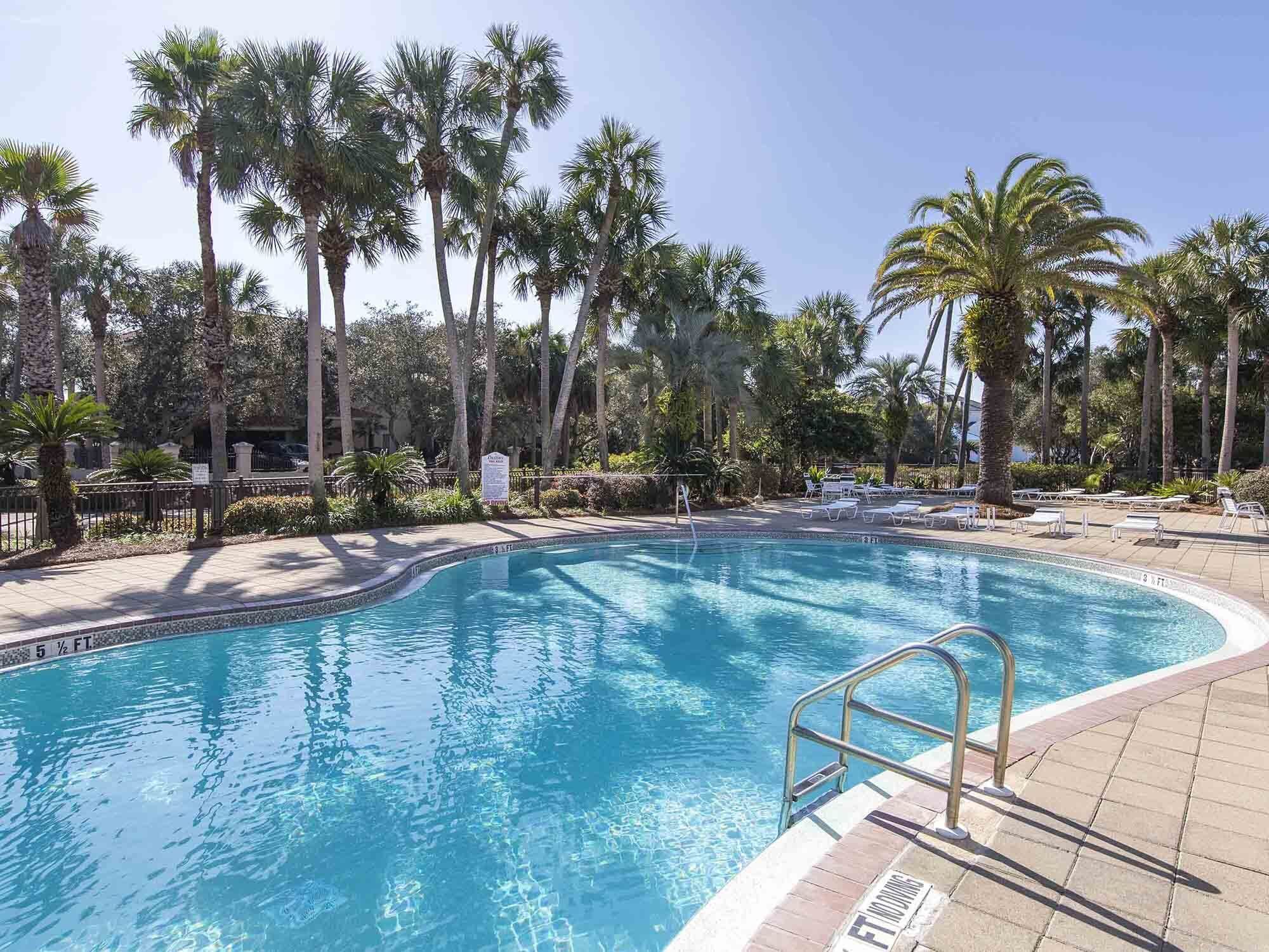 Une piscine d’une profondeur de 1,70 mètre, entourée de palmiers et de chaises longues.