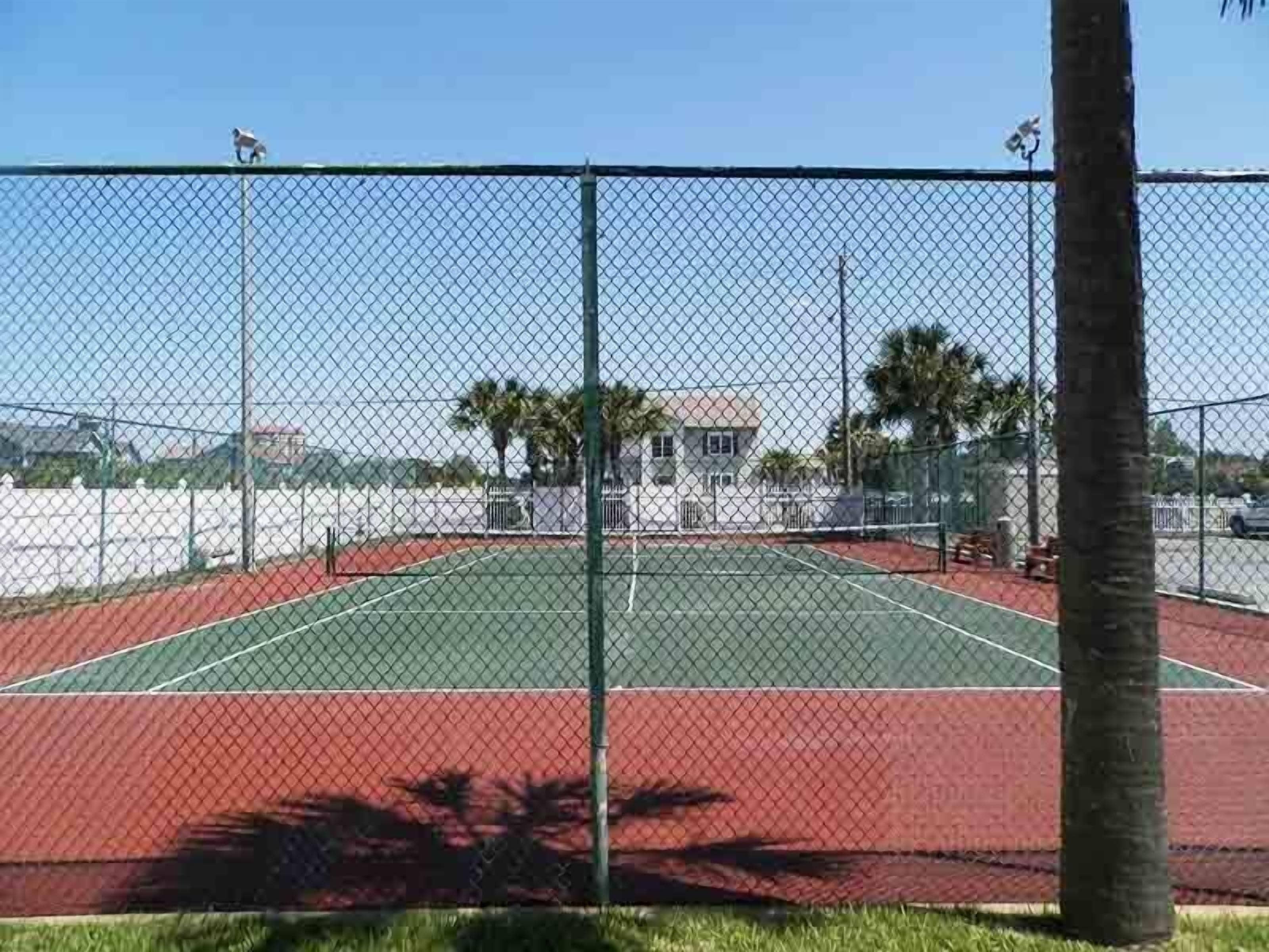 A fenced tennis court with a red surface, surrounded by a chain-link fence and palm trees.