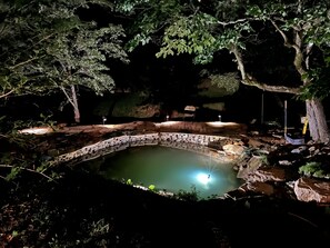 Pool - Aunt Aries Historical cabin- retreat to the wilderness (Otto)