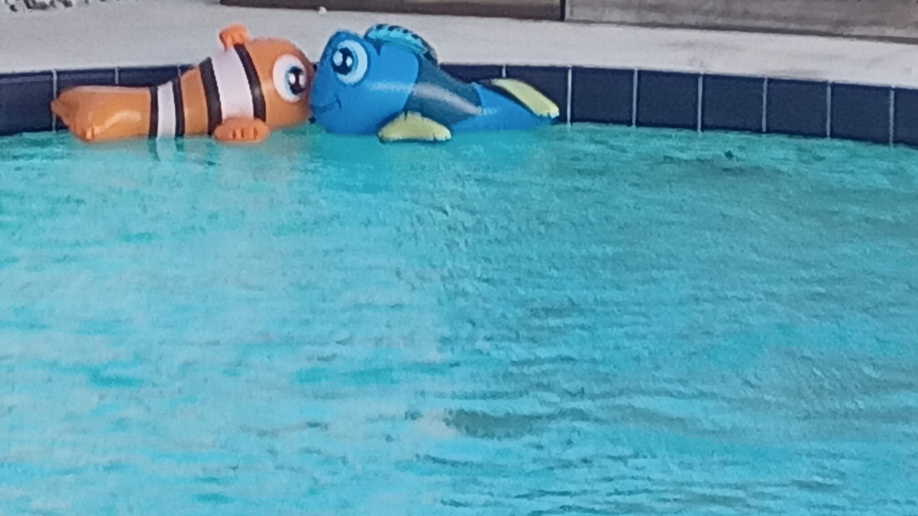 حمّام سباحة خارجي