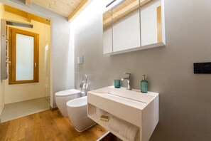 Shower, hair dryer, bidet, towels